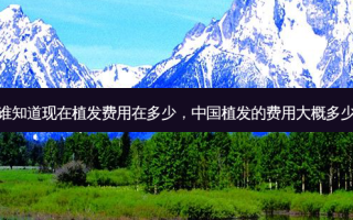 谁知道现在植发费用在多少，中国植发的费用大概多少