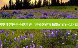 烤瓷牙好还是全瓷牙好（烤瓷牙便宜和贵的有什么区别）