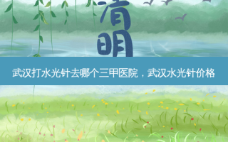 武汉打水光针去哪个三甲医院，武汉水光针价格
