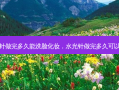 水光针做完多久能洗脸化妆，水光针做完多久可以洗澡
