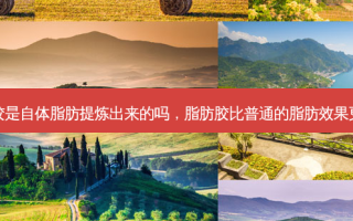 脂肪胶是自体脂肪提炼出来的吗，脂肪胶比普通的脂肪效果更好吗