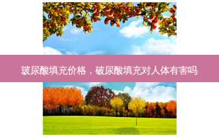 玻尿酸填充价格，破尿酸填充对人体有害吗
