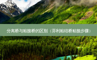 分离桥与粘接桥的区别（芬利粘结桥粘接步骤）