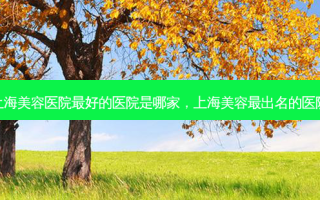上海美容医院 *** 好的医院是哪家，上海美容 *** 出名的医院