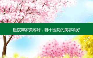 医院哪家美容好，哪个医院的美容科好