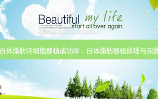 自体脂肪活细胞移植成功率，自体脂肪移植原理与实践