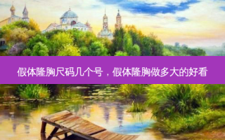 假体隆胸尺码几个号，假体隆胸做多大的好看