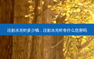 注射水光针多少钱，注射水光针有什么危害吗