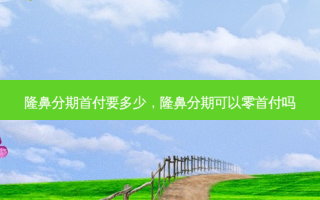 隆鼻 ***  *** 要多少，隆鼻 *** 可以零 *** 吗