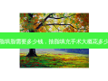 抽脂填脂需要多少钱，抽脂填充手术大概花多少钱