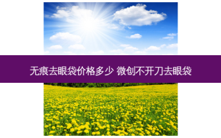 无痕去眼袋价格多少 微创不开刀去眼袋