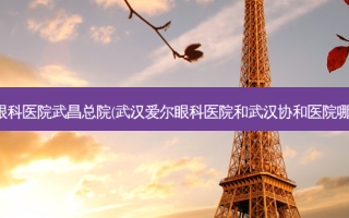 武汉爱尔眼科医院武昌总院(武汉爱尔眼科医院和武汉协和医院哪个眼科好)
