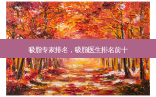 吸脂专家排名，吸脂医生排名前十