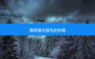 脸部激光脱毛的价格