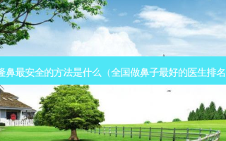 隆鼻 *** 的 *** 是什么（全国做鼻子好的医生排名）