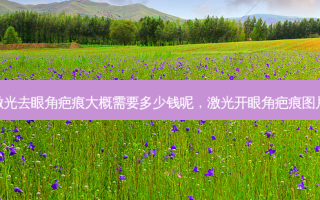 激光去眼角疤痕大概需要多少钱呢，激光开眼角疤痕图片