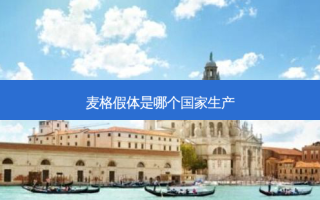 麦格假体是哪个国家生产