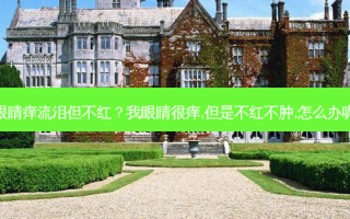 眼睛痒流泪但不红？我眼睛很痒,但是不红不肿,怎么办呢