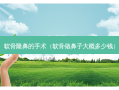 软骨隆鼻的手术（软骨做鼻子大概多少钱）