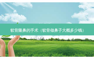 软骨隆鼻的手术（软骨做鼻子大概多少钱）