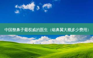 中国整鼻子的医生（缩鼻翼大概多少费用）