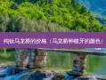 纯钛马龙桥的价格（马龙桥种植牙的颜色）