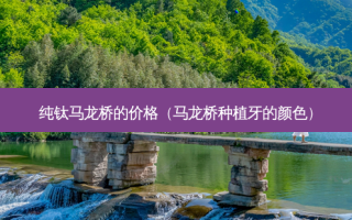纯钛马龙桥的价格（马龙桥种植牙的颜色）