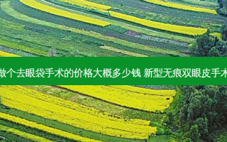 做个去眼袋手术的价格大概多少钱 新型无痕双眼皮手术