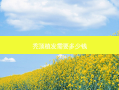 秃顶植发需要多少钱