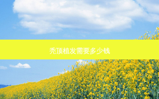 秃顶植发需要多少钱