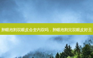 肿眼泡割双眼皮会变内双吗，肿眼泡割完双眼皮好丑