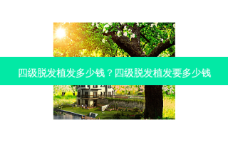 四级脱发植发多少钱？四级脱发植发要多少钱