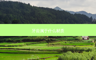 牙齿属于什么材质