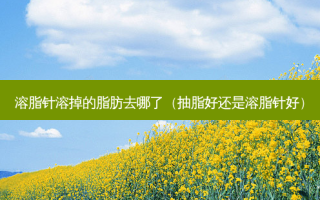 溶脂针溶掉的脂肪去哪了（抽脂好还是溶脂针好）