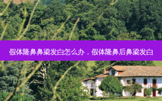 假体隆鼻鼻梁发白怎么办，假体隆鼻后鼻梁发白