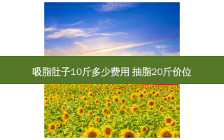 吸脂肚子10斤多少费用 抽脂20斤价位