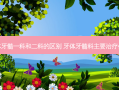 牙体牙髓一科和二科的区别 牙体牙髓科主要什么