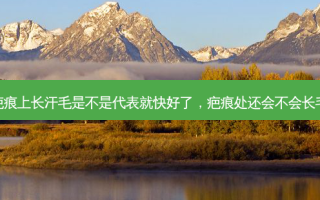 疤痕上长汗毛是不是代表就快好了，疤痕处还会不会长毛