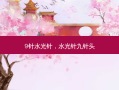 9针水光针，水光针九针头