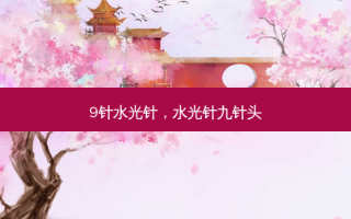 9针水光针，水光针九针头