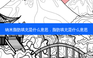 纳米脂肪填充是什么意思，脂肪填充是什么意思
