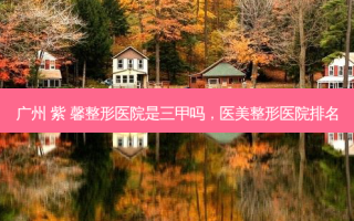 广州 紫 馨整形医院是三甲吗，医美整形医院排名
