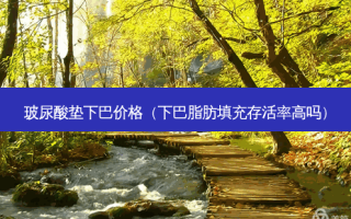 玻尿酸垫下巴价格（下巴脂肪填充高吗）
