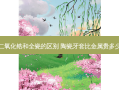 二氧化锆和全瓷的区别 陶瓷牙套比金属贵多少
