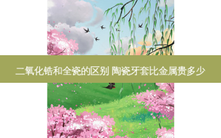 二氧化锆和全瓷的区别 陶瓷牙套比金属贵多少