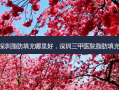 深圳脂肪填充哪里好，深圳三甲医院脂肪填充