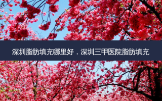 深圳脂肪填充哪里好，深圳三甲医院脂肪填充