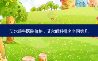艾尔眼科医院价格，艾尔眼科排名全国第几