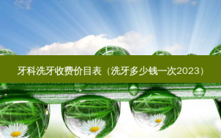 牙科洗牙收费价目表（洗牙多少钱一次2023）
