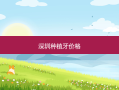 深圳种植牙价格